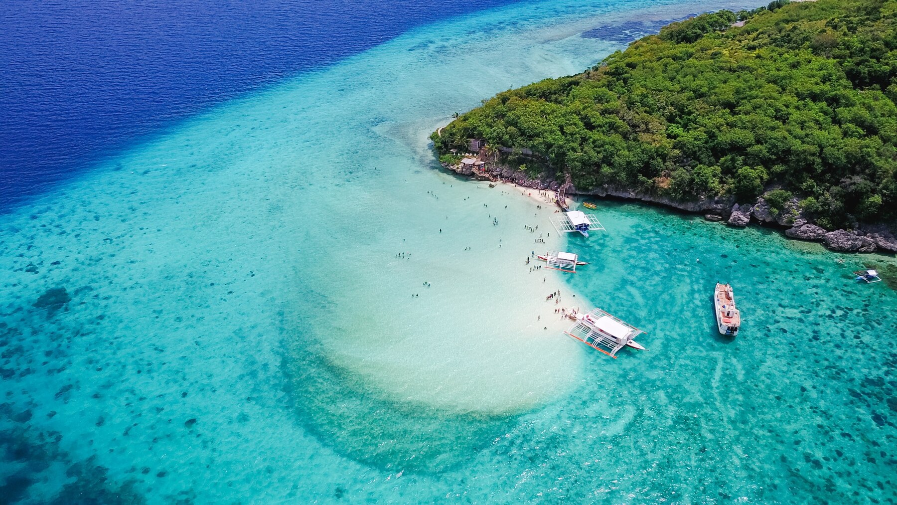cenderawasih bay indonesia