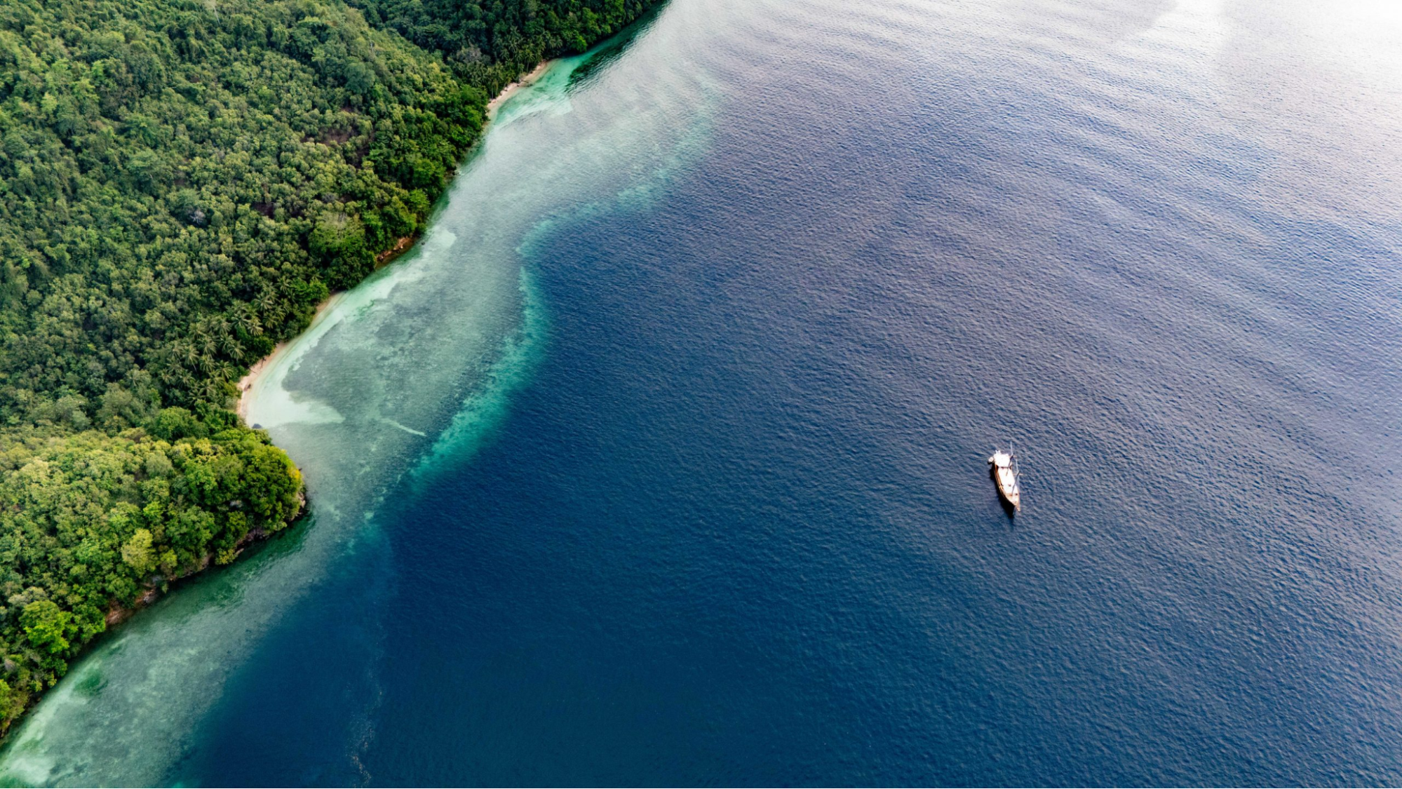 explore indonesia with Private Liveaboard