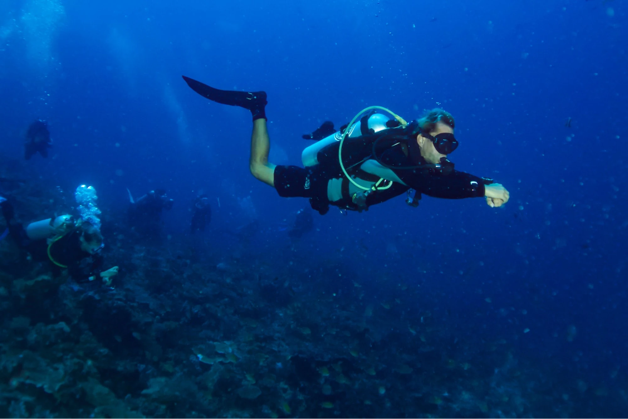Diver exploring coral-covered seafloor at a dive site in Alor, Indonesia